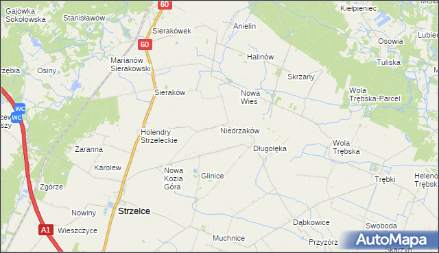 mapa Niedrzaków, Niedrzaków na mapie Targeo