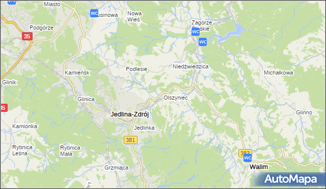 mapa Olszyniec gmina Walim, Olszyniec gmina Walim na mapie Targeo