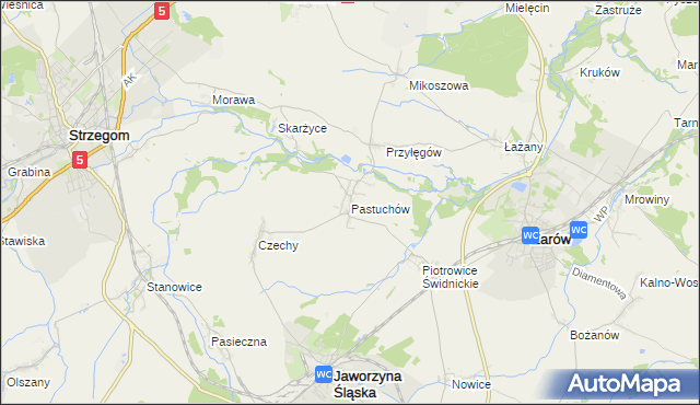 mapa Pastuchów, Pastuchów na mapie Targeo