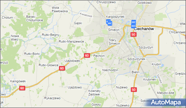 mapa Pęchcin, Pęchcin na mapie Targeo