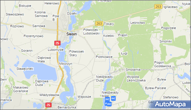 mapa Piotrkowice gmina Ślesin, Piotrkowice gmina Ślesin na mapie Targeo