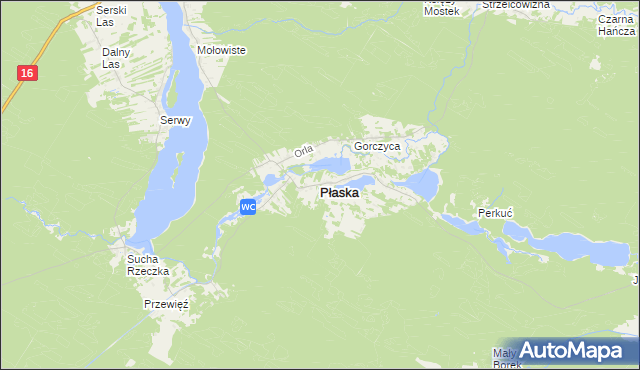 mapa Płaska, Płaska na mapie Targeo