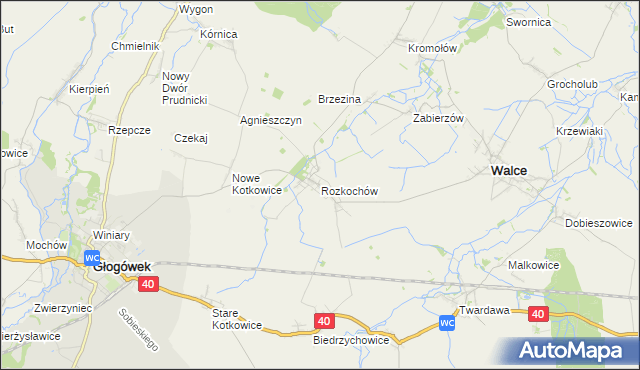 mapa Rozkochów gmina Walce, Rozkochów gmina Walce na mapie Targeo