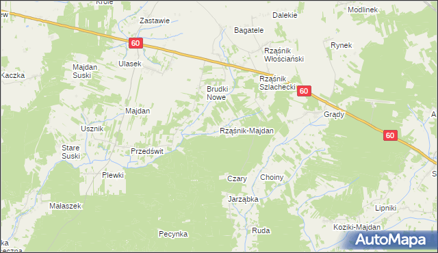 mapa Rząśnik-Majdan, Rząśnik-Majdan na mapie Targeo