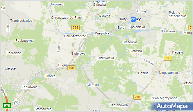 mapa Trzebyczka, Trzebyczka na mapie Targeo