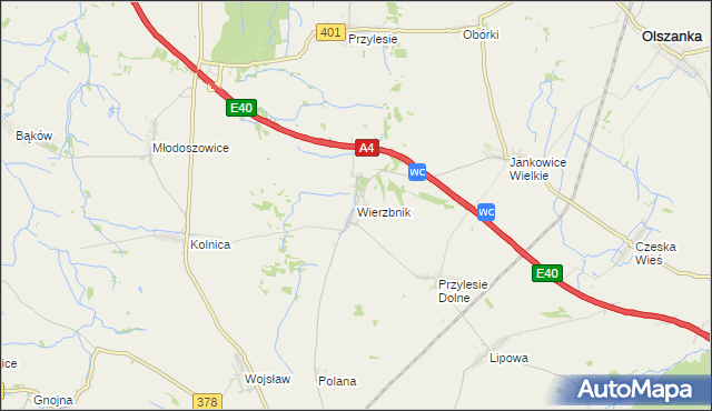mapa Wierzbnik gmina Grodków, Wierzbnik gmina Grodków na mapie Targeo