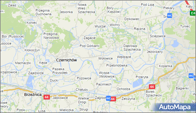 mapa Wołowice, Wołowice na mapie Targeo