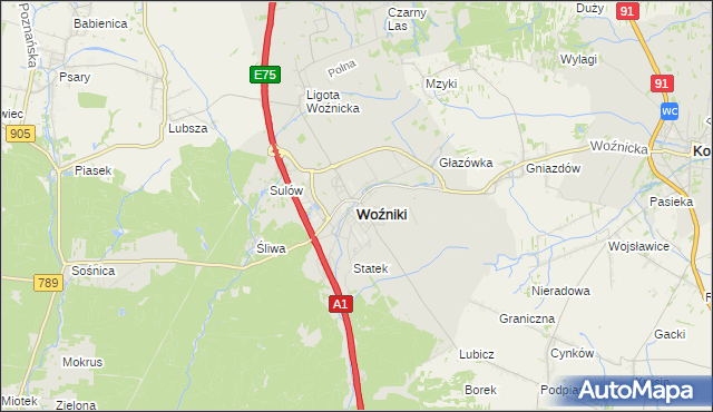 mapa Woźniki powiat lubliniecki, Woźniki powiat lubliniecki na mapie Targeo