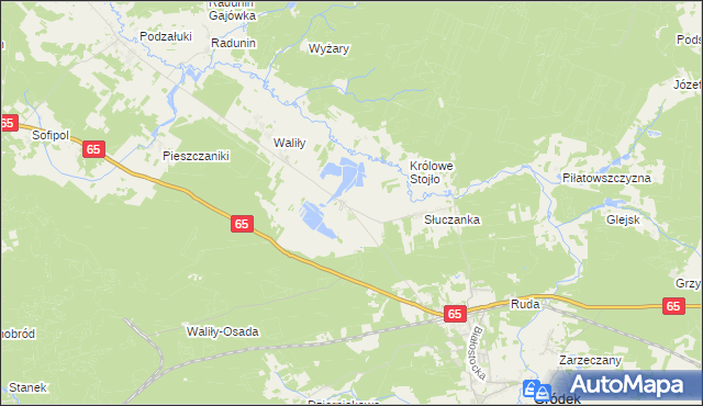 mapa Waliły-Dwór, Waliły-Dwór na mapie Targeo