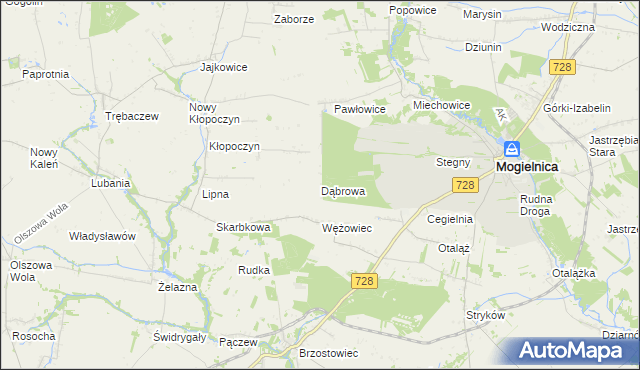 mapa Dąbrowa gmina Mogielnica, Dąbrowa gmina Mogielnica na mapie Targeo