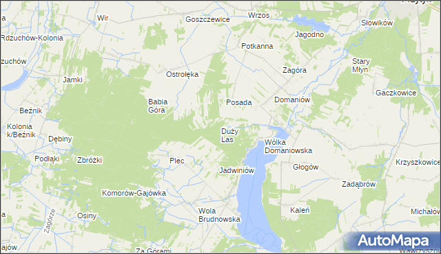 mapa Duży Las gmina Przytyk, Duży Las gmina Przytyk na mapie Targeo