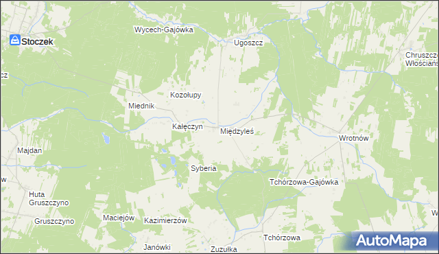 mapa Międzyleś gmina Miedzna, Międzyleś gmina Miedzna na mapie Targeo
