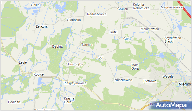 mapa Rogi gmina Niemodlin, Rogi gmina Niemodlin na mapie Targeo