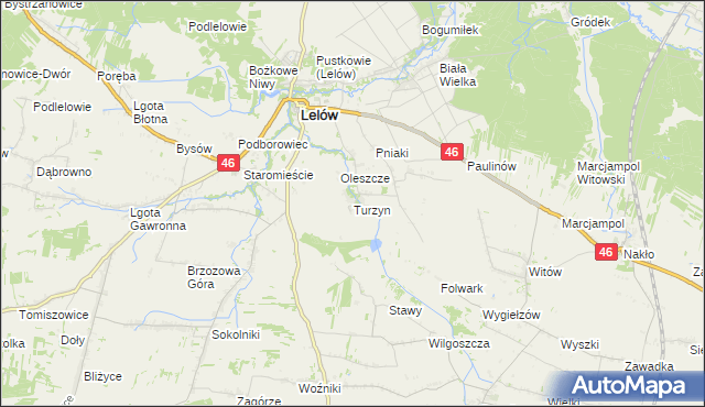 mapa Turzyn gmina Lelów, Turzyn gmina Lelów na mapie Targeo