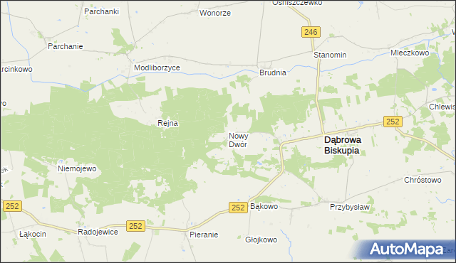 mapa Nowy Dwór gmina Dąbrowa Biskupia, Nowy Dwór gmina Dąbrowa Biskupia na mapie Targeo