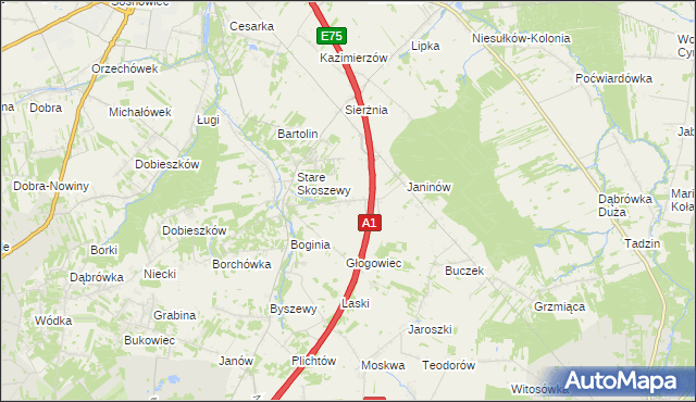 mapa Nowe Skoszewy, Nowe Skoszewy na mapie Targeo