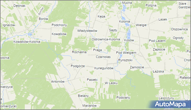 mapa Czarnolas gmina Ciepielów, Czarnolas gmina Ciepielów na mapie Targeo