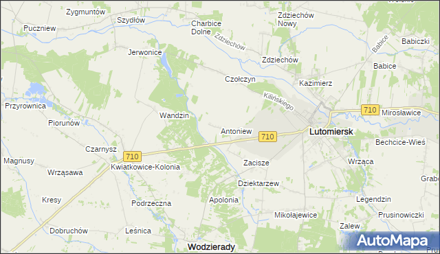 mapa Antoniew gmina Lutomiersk, Antoniew gmina Lutomiersk na mapie Targeo