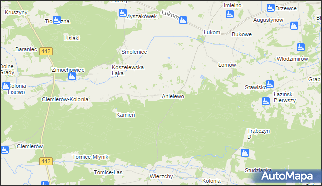mapa Anielewo gmina Zagórów, Anielewo gmina Zagórów na mapie Targeo