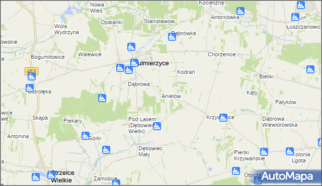 mapa Anielów gmina Sulmierzyce, Anielów gmina Sulmierzyce na mapie Targeo