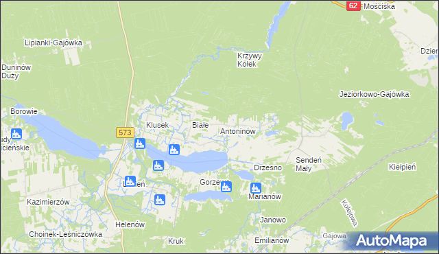 mapa Antoninów gmina Gostynin, Antoninów gmina Gostynin na mapie Targeo