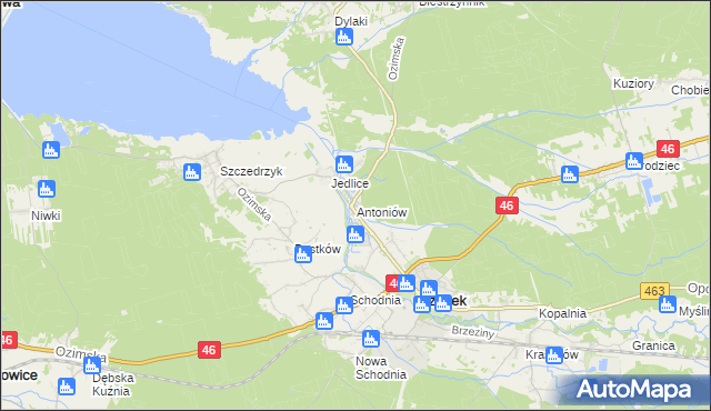 mapa Antoniów gmina Ozimek, Antoniów gmina Ozimek na mapie Targeo