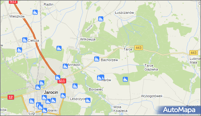 mapa Bachorzew, Bachorzew na mapie Targeo