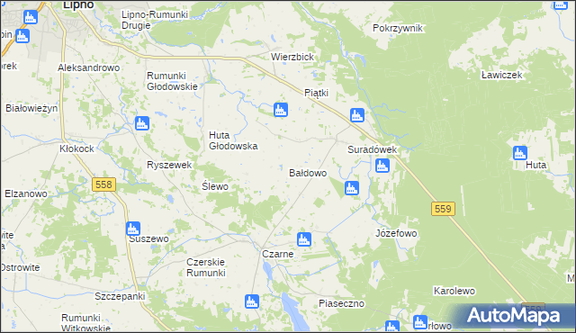 mapa Bałdowo gmina Wielgie, Bałdowo gmina Wielgie na mapie Targeo