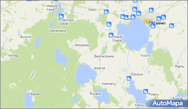 mapa Bednarzówka gmina Zalewo, Bednarzówka gmina Zalewo na mapie Targeo