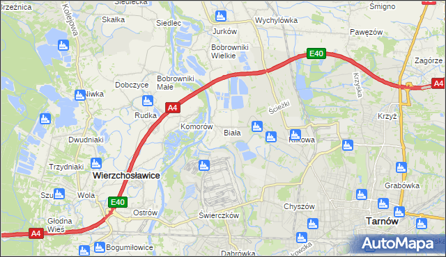 mapa Biała gmina Tarnów, Biała gmina Tarnów na mapie Targeo