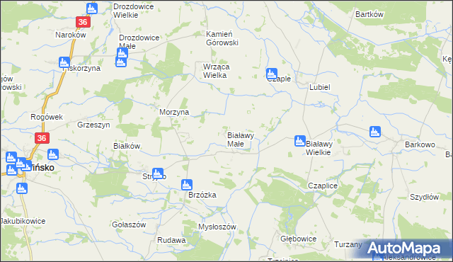 mapa Białawy Małe, Białawy Małe na mapie Targeo