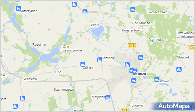 mapa Białowieża gmina Mrocza, Białowieża gmina Mrocza na mapie Targeo