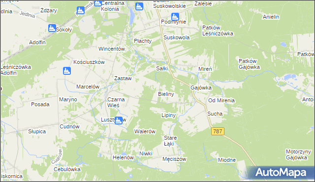 mapa Bieliny gmina Pionki, Bieliny gmina Pionki na mapie Targeo