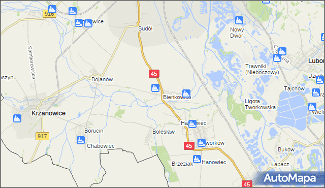 mapa Bieńkowice gmina Krzyżanowice, Bieńkowice gmina Krzyżanowice na mapie Targeo