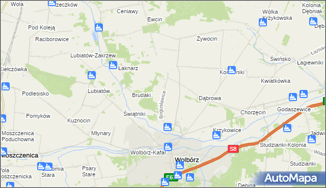 mapa Bogusławice gmina Wolbórz, Bogusławice gmina Wolbórz na mapie Targeo