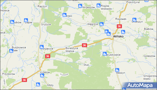 mapa Boraszyce Małe, Boraszyce Małe na mapie Targeo