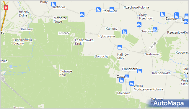 mapa Borcuchy gmina Rzeczniów, Borcuchy gmina Rzeczniów na mapie Targeo