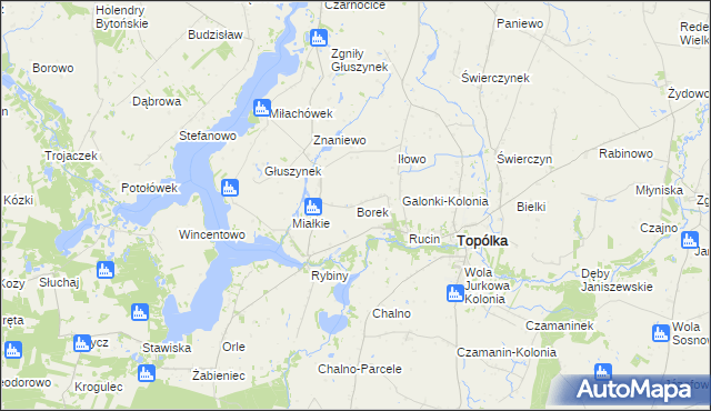 mapa Borek gmina Topólka, Borek gmina Topólka na mapie Targeo