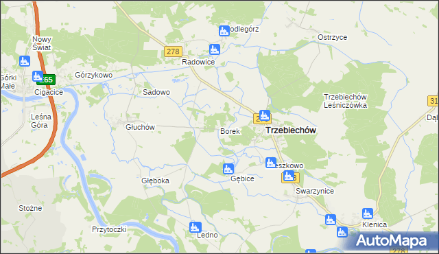 mapa Borek gmina Trzebiechów, Borek gmina Trzebiechów na mapie Targeo