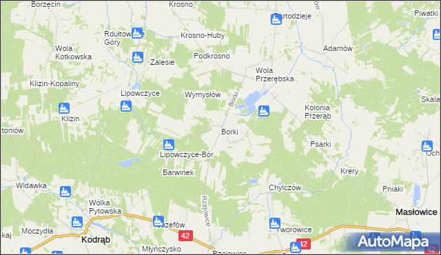 mapa Borki gmina Masłowice, Borki gmina Masłowice na mapie Targeo