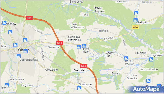 mapa Borki Małe gmina Olesno, Borki Małe gmina Olesno na mapie Targeo