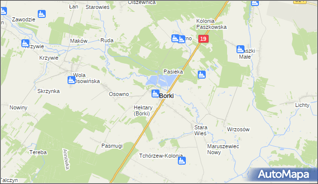 mapa Borki powiat radzyński, Borki powiat radzyński na mapie Targeo