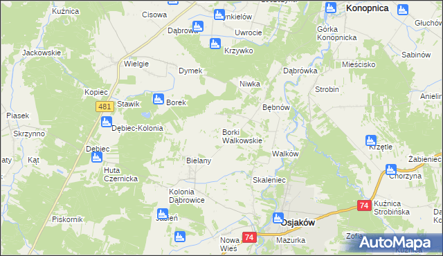mapa Borki Walkowskie, Borki Walkowskie na mapie Targeo