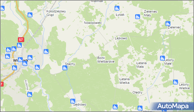 mapa Borki Wielbarskie, Borki Wielbarskie na mapie Targeo