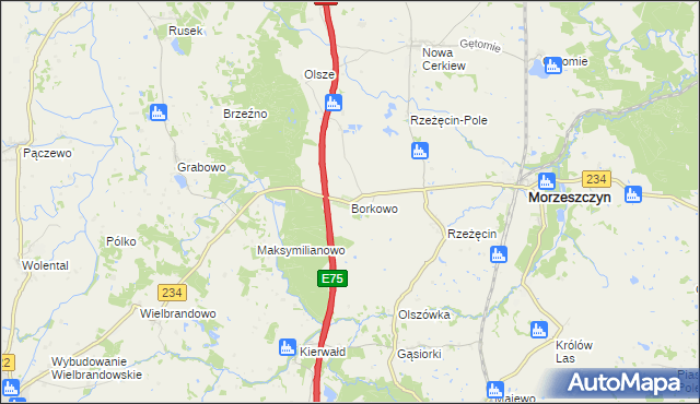 mapa Borkowo gmina Morzeszczyn, Borkowo gmina Morzeszczyn na mapie Targeo