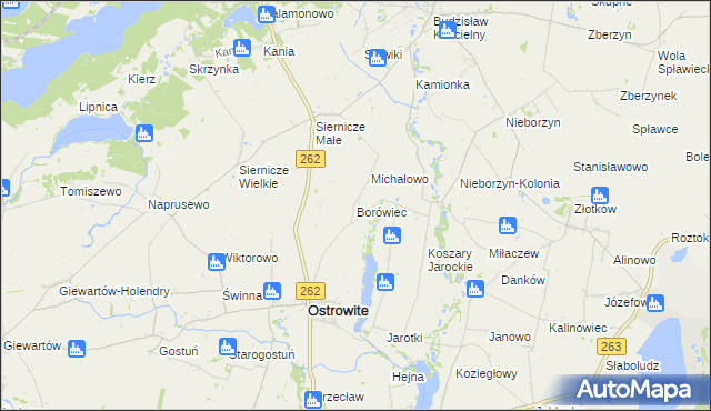 mapa Borówiec gmina Ostrowite, Borówiec gmina Ostrowite na mapie Targeo