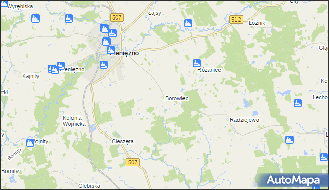 mapa Borowiec gmina Pieniężno, Borowiec gmina Pieniężno na mapie Targeo