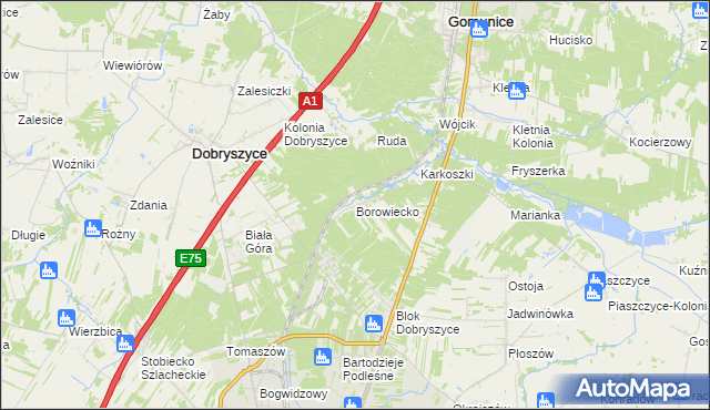 mapa Borowiecko, Borowiecko na mapie Targeo