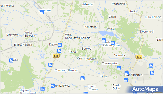 mapa Borowo gmina Siedliszcze, Borowo gmina Siedliszcze na mapie Targeo