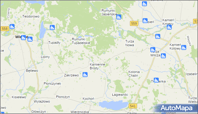 mapa Borowo gmina Tłuchowo, Borowo gmina Tłuchowo na mapie Targeo
